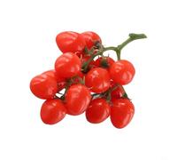 Bouquet de tomates artificielles vibrantes de 19 cm pour décoration intérieure, comprend 16 petites tomates réalistes avec tiges vertes (rouge)