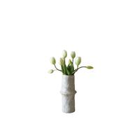 Bouquet de tulipes Blanc