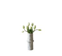 Bouquet de Tulipes Botané Blanc