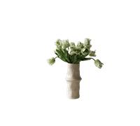 Bouquet de Tulipes Perroquet Botané Petites Blanc