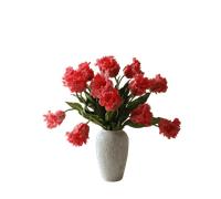 Bouquet de Tulipes Perroquets Botané Rouge