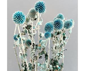 Bouquet d'échinops préservés, bleu clair, chardon naturel, fleurs d'automne, 20 boules bleues, planète, échinops, globe pour mariage, fête bohème, décoration d'intérieur, arrangements floraux DIY