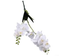 Bouquet d'orchidées papillons artificielles de 50 cm de long avec 12 têtes de fleurs pour décorations de mariage, fêtes et décoration d'intérieur (blanc)