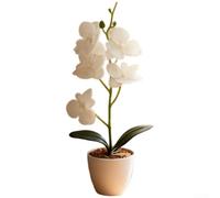 Bouquet d'orchidées phalaenopsis artificielles imprimées en 3D avec colle douce en pot avec base stable, orchidée papillon réaliste pour décoration d'intérieur, fête de mariage (blanc)