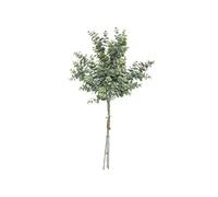 bouquet eucalyptus 63cm - jja 179274 Vert G