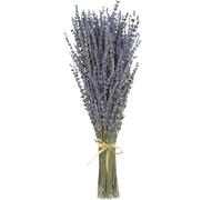 Bouquet Fleurs Séchées,Gypsophile Séché Lavande Séchée Naturelles, Plus de 1500 Boutons Floraux en 100% Naturel Gypsophila Fleurs séchées pour gypsophile pour Mariage, décoration Maison, DIY et fête