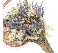 Bouquet Fleurs Séchées,Gypsophile Séché Lavande Séchée Naturelles, Plus de 1500 Boutons Floraux en 100% Naturel Gypsophila Fleurs séchées pour gypsophile pour Mariage, décoration Maison, DIY et fête