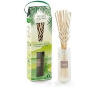 Bouquet initial Citronnelle et Menthe 100 ml - Esteban - Reansparent - Verre G