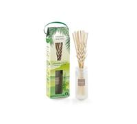 Bouquet initial Citronnelle et Menthe 100 ml - - Reansparent - Verre