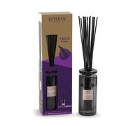 Esteban - Figue Noire Bouquet Parfumé Initial Et Sa Recharge 100 Ml