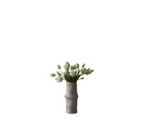 Bouquet mixte de tulipes Blanc