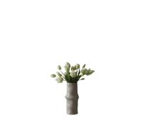 Bouquet Mixte de Tulipes Botané Blanc
