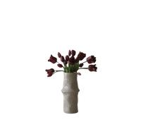 Bouquet Mixte de Tulipes Botané Violet