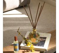 Bouquet monoï & passion grand format