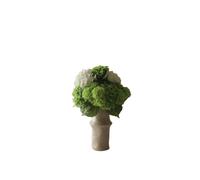 Bouquet Nuances de Vert Vert