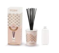 Estéban – Bouquet parfumé décoratif Iris Cachemire