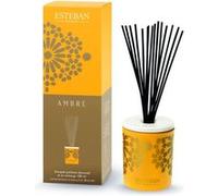 Bouquet parfume décoratif avec recharge Esteban Ambre 100 ml G