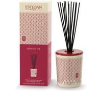 Bouquet parfume décoratif avec recharge Esteban Esprit de thé 100 ml G