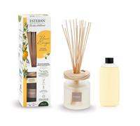 Bouquet parfumé ellipse 200ml