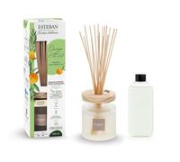 Bouquet parfumé ellipse 200ml