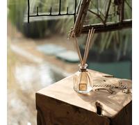 Bouquet parfumé infusion d'agrumes