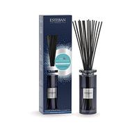 Bouquet parfumé initial et sa recharge 75ml Lin et Petitgrain