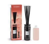 Bouquet parfumé initial terre d’ocre karité