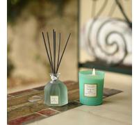 Bouquet parfumé thé blanc & jasmin