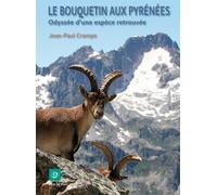 Bouquetin aux Pyrénées