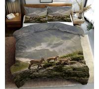 Bouquetin De SibéRie Housse de Couette 200x200 ChaîNe De Montagnes 3 Piè Parure de Lit Microfibre avec Fermeture Éclair, Parure de Couette avec 2 Taie Oreillers 65x65cm T382