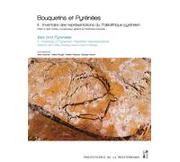 Bouquetins et Pyrénées II - Inventaire des représentations du Paléolithique pyrénéen. Offert à Jean Clottes, Conservateur général du Patrimoine honoraire - Aline Averbouh - Publication Universite Prov