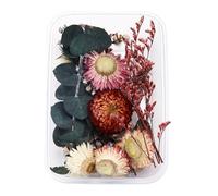 Bouquets Bouquet de Fleurs 1 boîte de Vraies Fleurs séchées en résine,Fleur époxy pour la Fabrication Bijoux en résine époxy,Fournitures Artisanales,Accessoires ( ne m'oubliez Pas) ( Q,One Size)