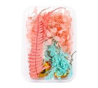 Bouquets Bouquet de Fleurs 1 boîte de Vraies Fleurs séchées en résine,Fleur époxy pour la Fabrication Bijoux en résine époxy,Fournitures Artisanales,Accessoires ( ne m'oubliez Pas) ( I,One Size)