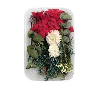 Bouquets Bouquet de Fleurs 1 boîte de Vraies Fleurs séchées en résine,Fleur époxy pour la Fabrication Bijoux en résine époxy,Fournitures Artisanales,Accessoires ( ne m'oubliez Pas) ( P,One Size)