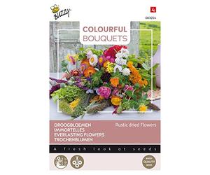 Bouquets colorés Buzzy - Fleurs séchées rustiques