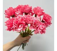 Bouquets de 27,9 cm - 10 œillets - Résistant aux UV - Ne se décolore Pas - Mini pétales en Soie - Plantes éternelles pour Photos - pour la Maison, Les fêtes et Les Mariages - Rouge