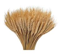 Bouquets de blé séché - PZCC - 100 pièces - 40 cm - Naturel - Décoration intérieure - Rustique - Flexible - Couronne