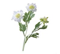 Bouquets de fleurs de scabiosa artificielles en tissu réaliste pour décoration d'intérieur, décoration d'intérieur, centres de table, beauté toute l'année (blanc)