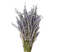 Bouquets De Lavande, Bouquet De Lavande Séchée Naturelle, Lavande Plant Symbole Immortel De l'amour pour La Décoration De Mariage Pendaison De Crémaillère Décoration De La Maison Hôtel Bureau