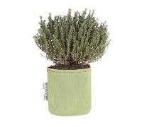 Bourgeon - Pot de Plantation Respirant 12 cm Vert