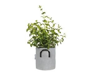 Bourgeon - Sac à Plantation Respirant 20 cm Gris