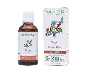 Bourgeons bio Noyer - Juglans regia