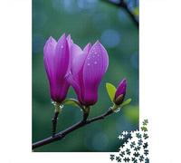 Bourgeons de Magnolia Violets Couverts de rosée Puzzle Vues printanières 1000 Tessere Cartone Di Alta Qualità per Amanti Puzzle, Stimolante Svago, Regalo Compleanno Decorazione 52x38cm/1000pcs