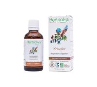 Bourgeons de noisetier 50ml bio