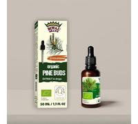 Bourgeons de pin bio/Teinture/Extrait/ 50 ml / 1,67 fl oz