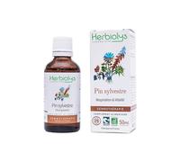 Bourgeons de pin sylvestre 50ml bio