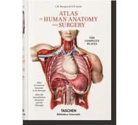 Bourgery Henri Sick (Auteur), Jean-Marie Le Minor (Auteur)