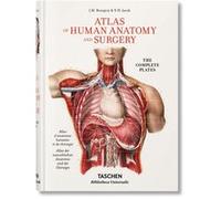 Bourgery Henri Sick (Auteur), Jean-Marie Le Minor (Auteur)