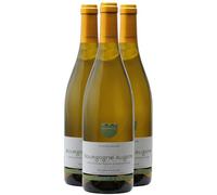 Bourgogne Aligoté - Blanc 2023 - Cave des vignerons de Buxy - Vin Blanc de Bourgogne (3x75cl)