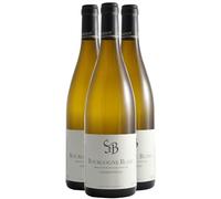 Bourgogne - Blanc 2022 - Domaine Bzikot - Vin Blanc de Bourgogne (3x75cl)